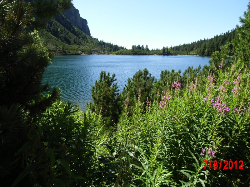 CIMG0353