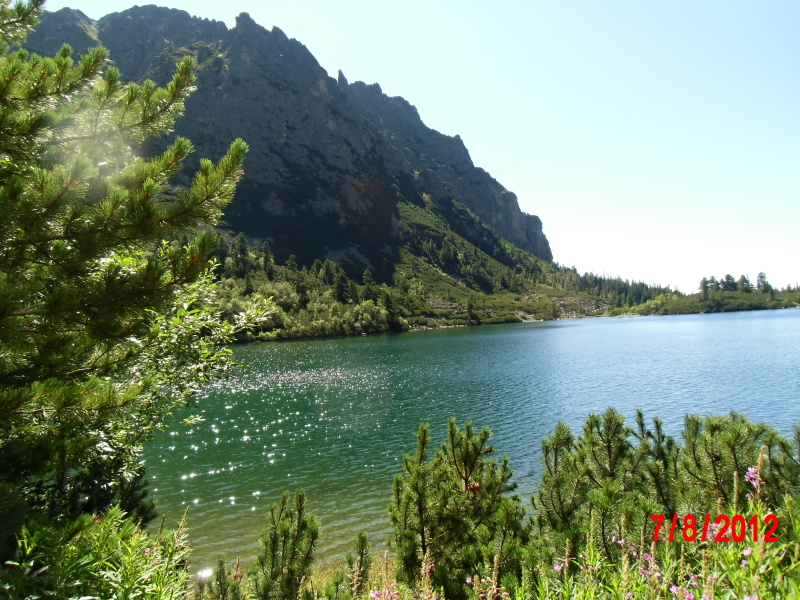 CIMG0356